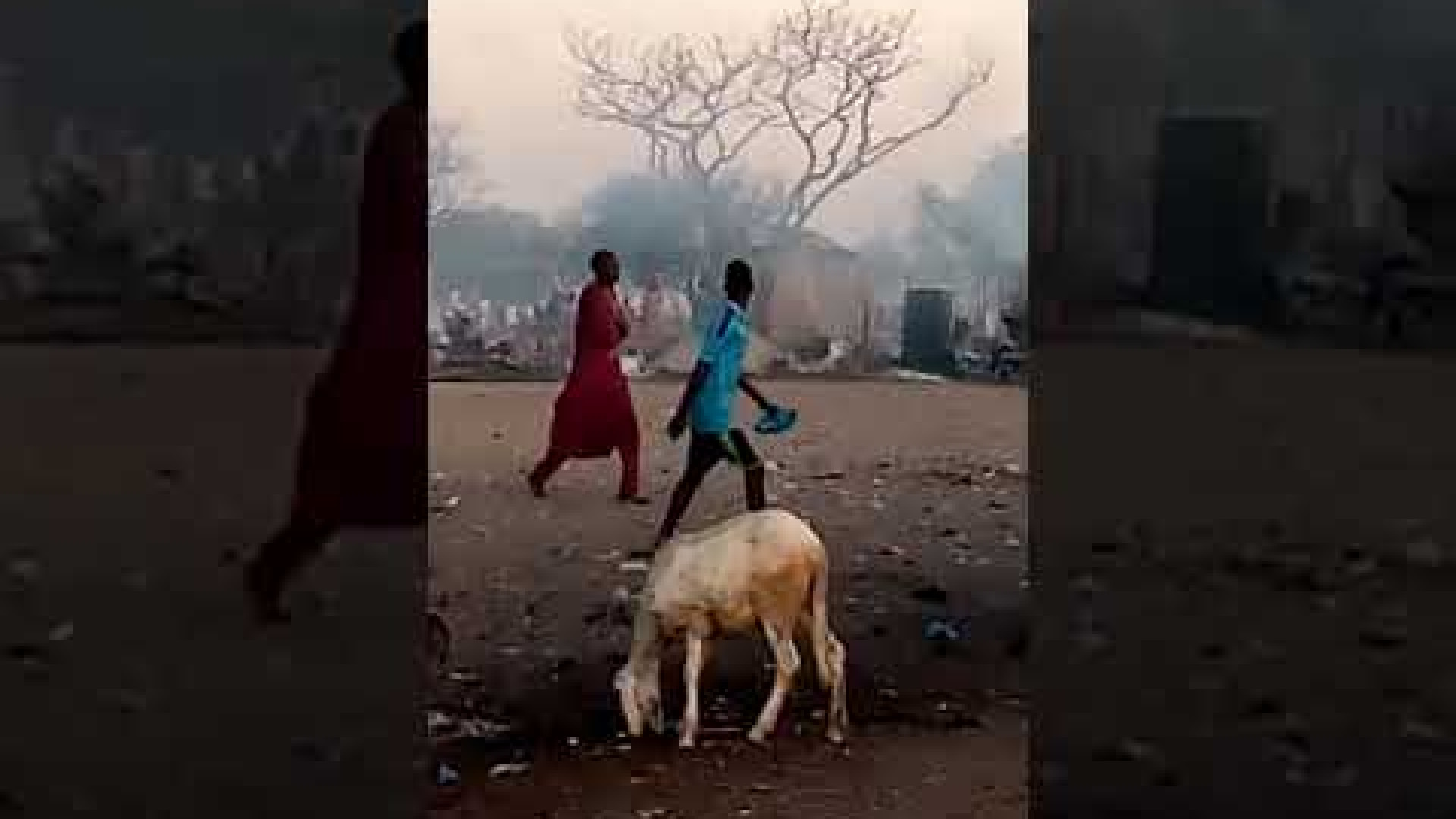 Attentato di Boko Haram: 27 vittime. Erano profughi