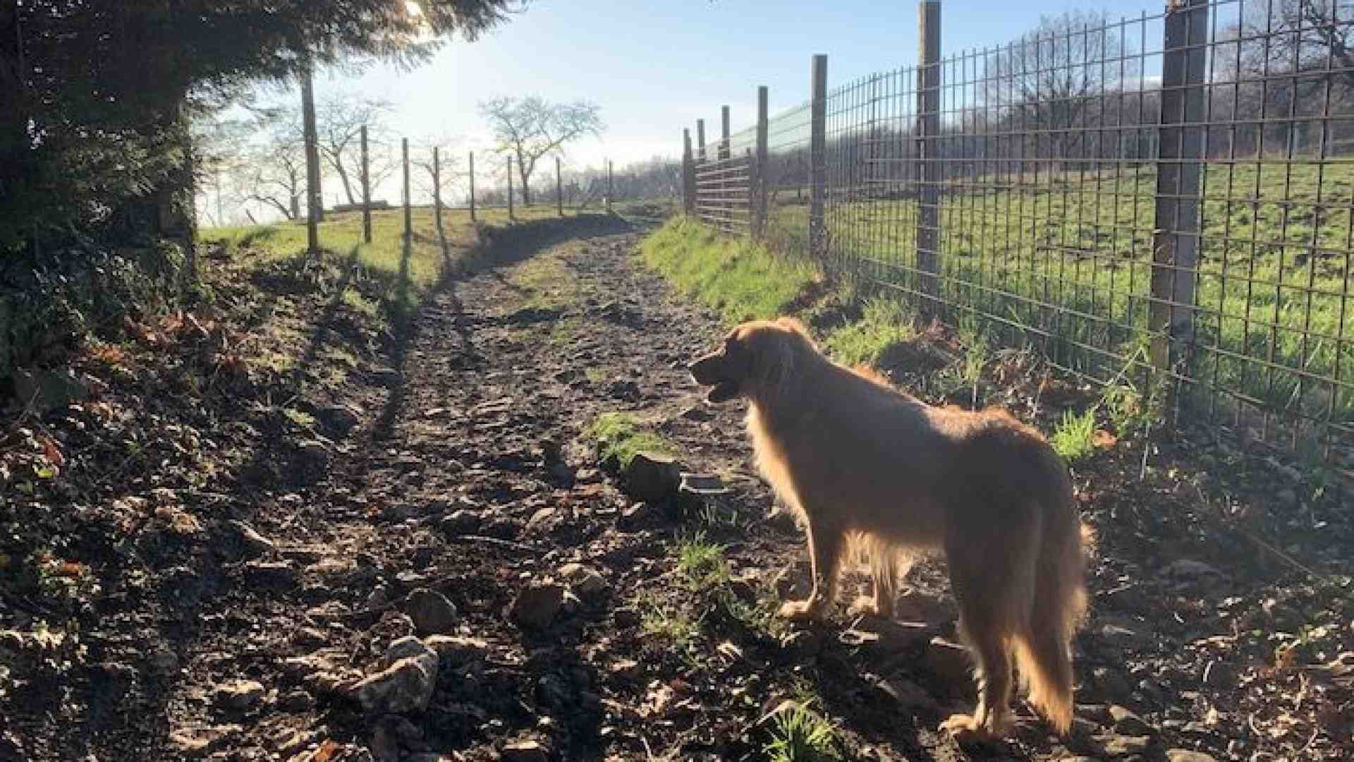 I sentieri incantati di Montecchio tra natura, buon cibo e panorami