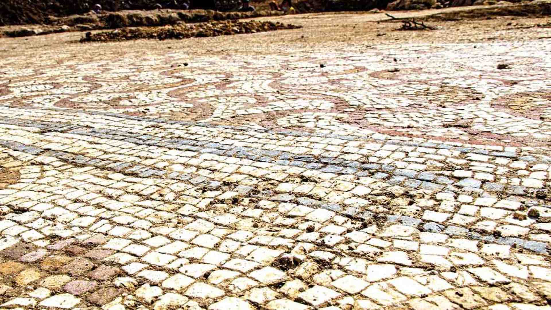 Negrar. Mosaici in mezzo ai vigneti