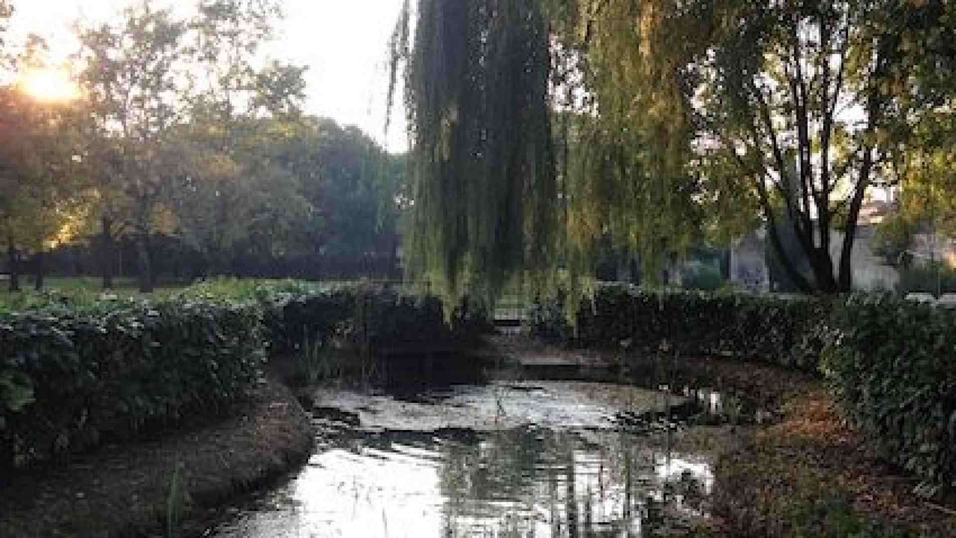 Povegliano. Concorso letterario sulle risorgive rivolto a bambini e ragazzi