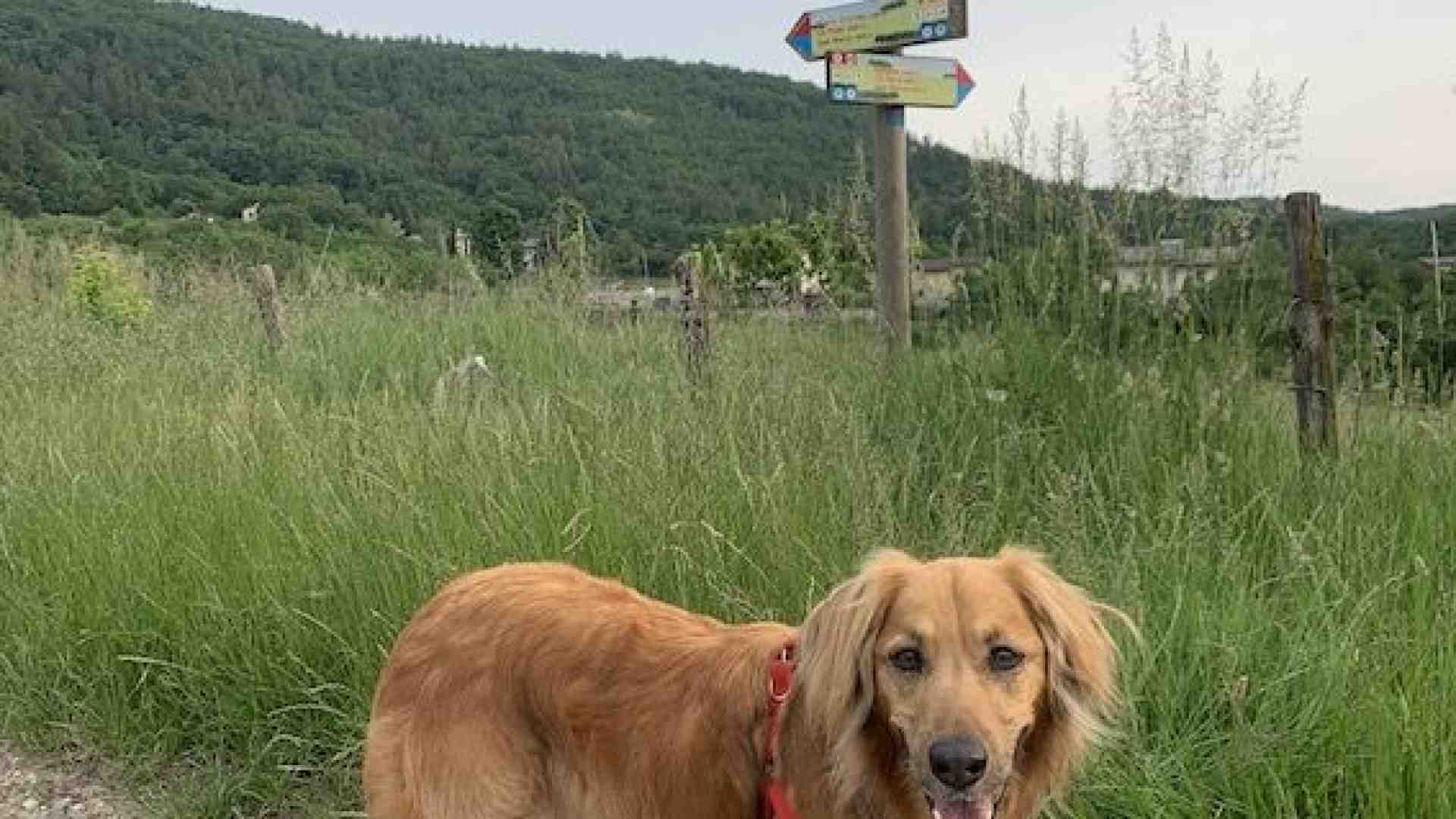 Qui dove la pietra ha modellato natura e abitazioni