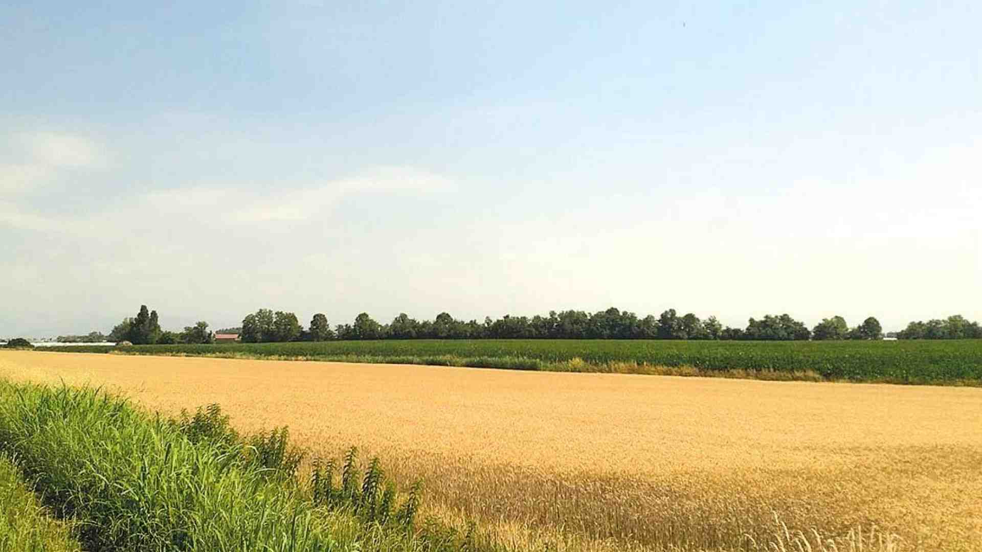 È un coro: cambiate il tracciato alla variante della Statale 12