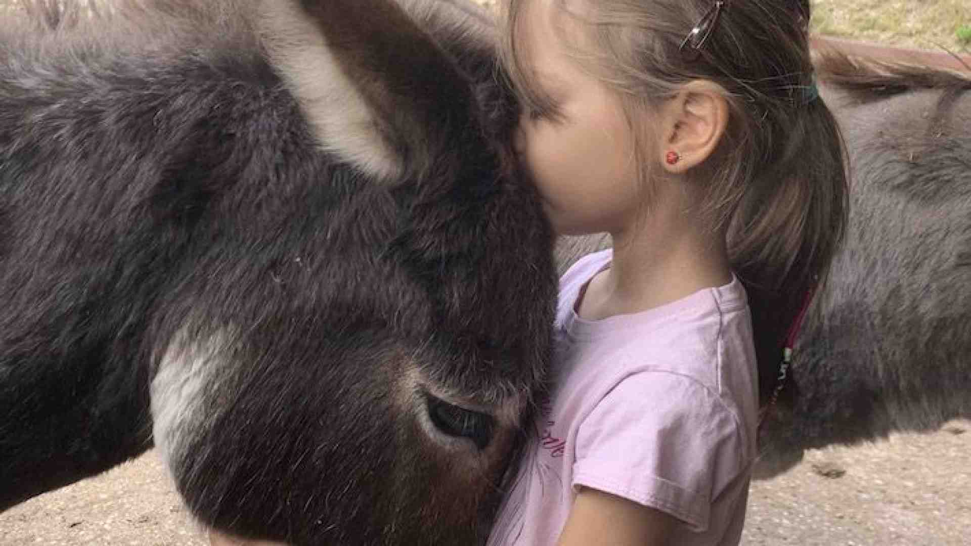 Viaggio tra gli “amici” che collaborano con l’uomo