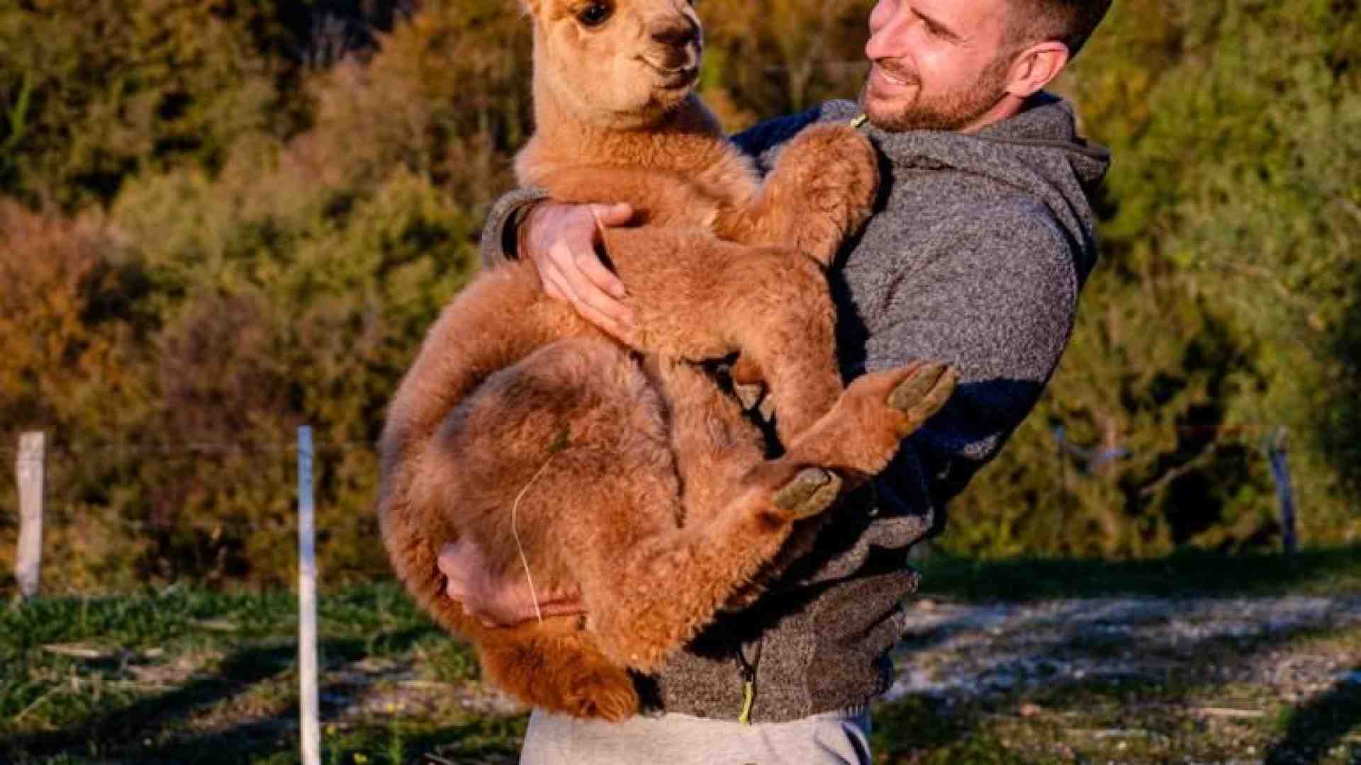 Il futuro dell'agricoltura veronese passa dai giovani e dalla tecnologia