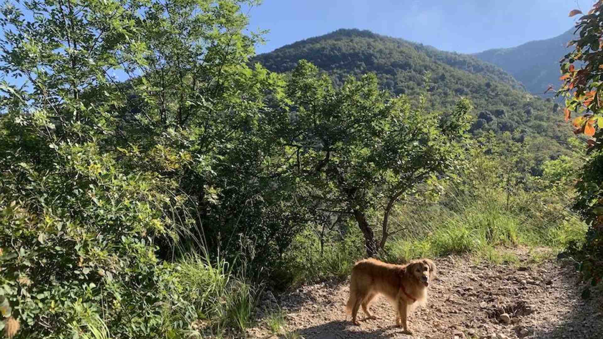 Immersi nel Bosco dei Poeti tra natura, arte, spiritualità