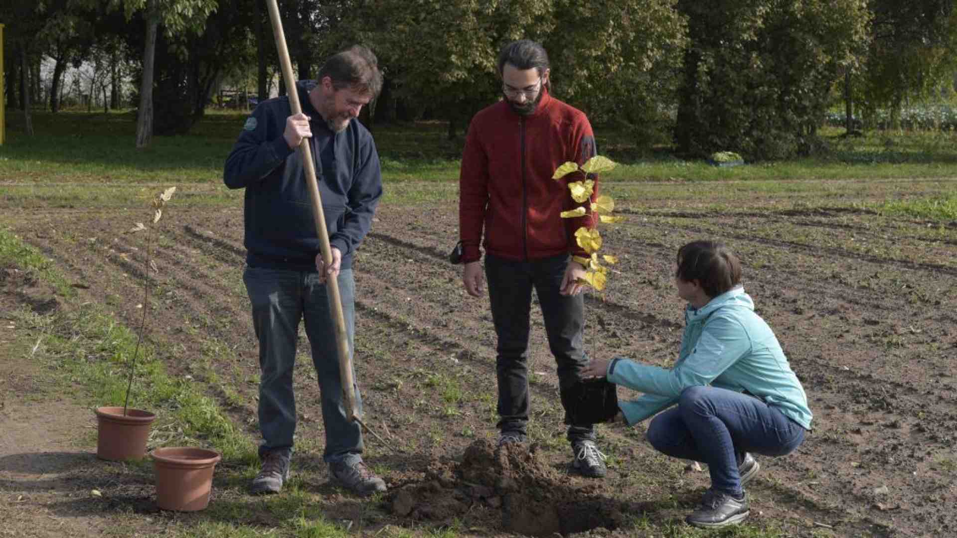 Dentro questa “Boscaja” nuovi boschi nei terreni incolti