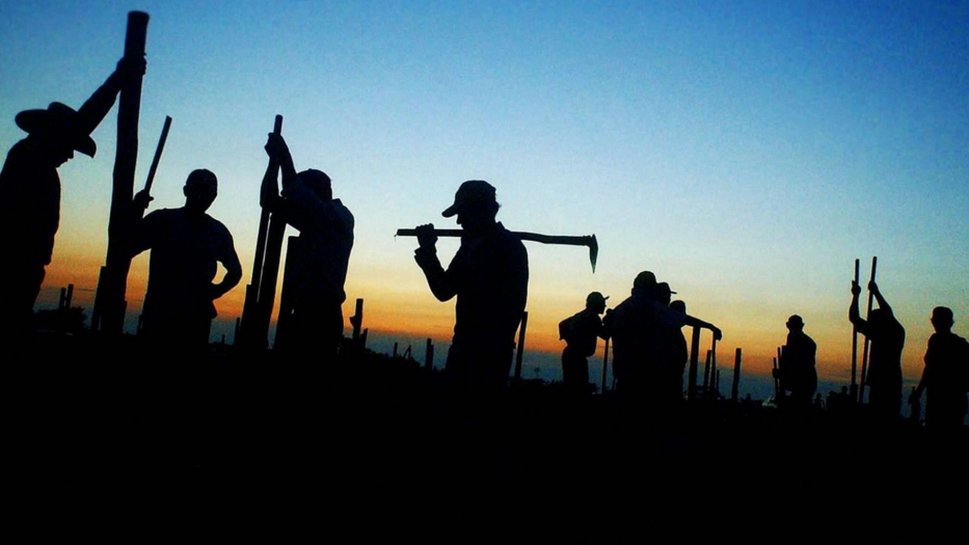 I «ladri di terre» si mangiano pezzi di Amazzonia brasiliana