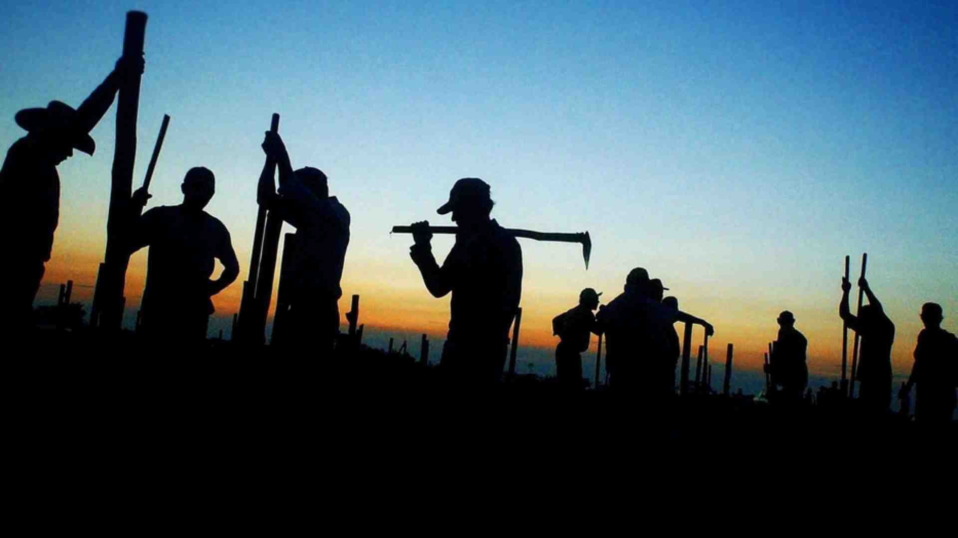 I «ladri di terre» si mangiano pezzi di Amazzonia brasiliana