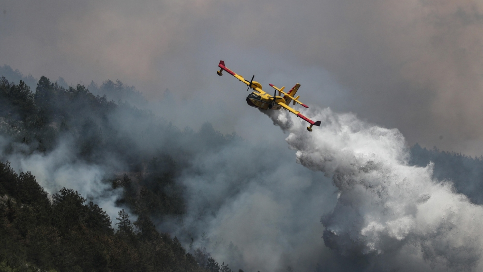 Siccità e incendi d'inverno, il cambiamento è già qua