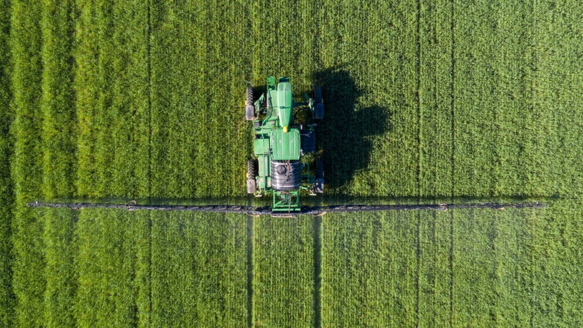 La nuova politica agricola Ue vuole imprese più sostenibili
