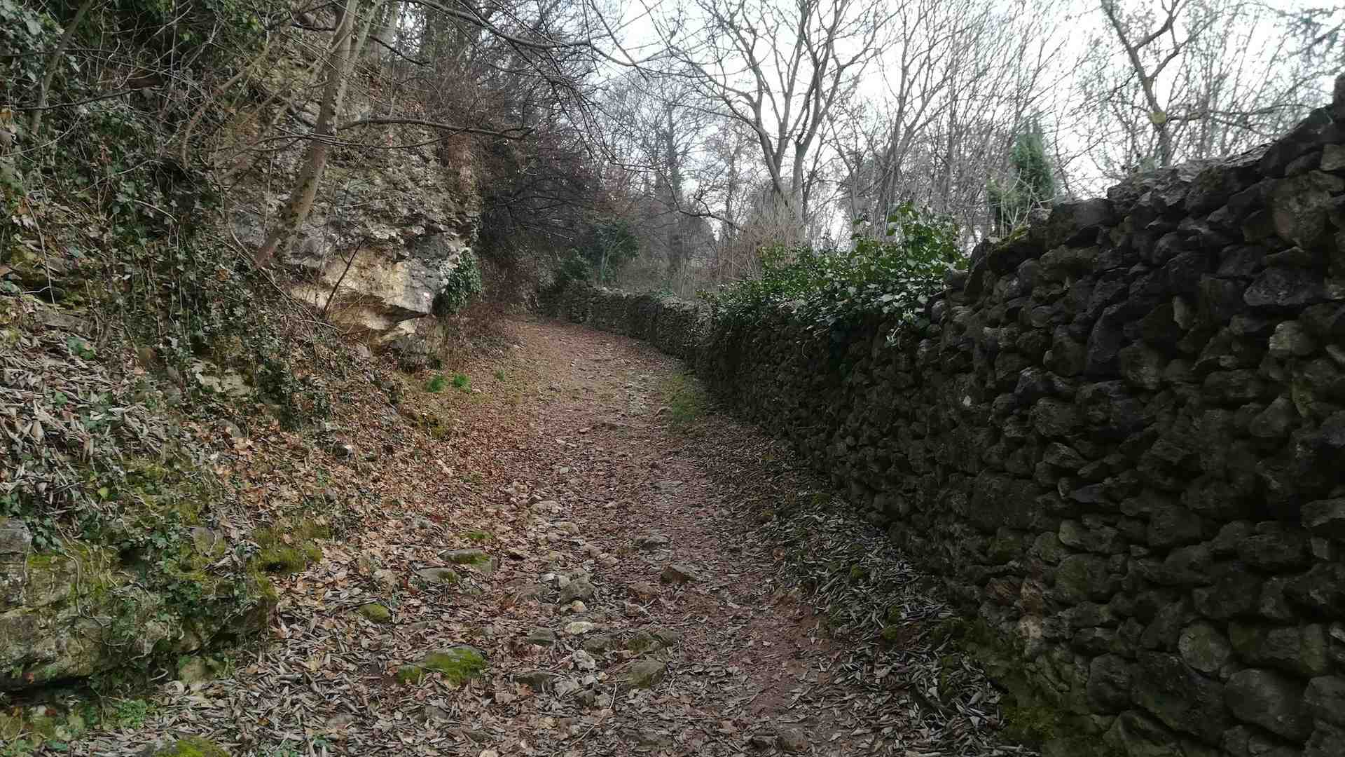 Monte Tenda oasi di biodiversità da valorizzare