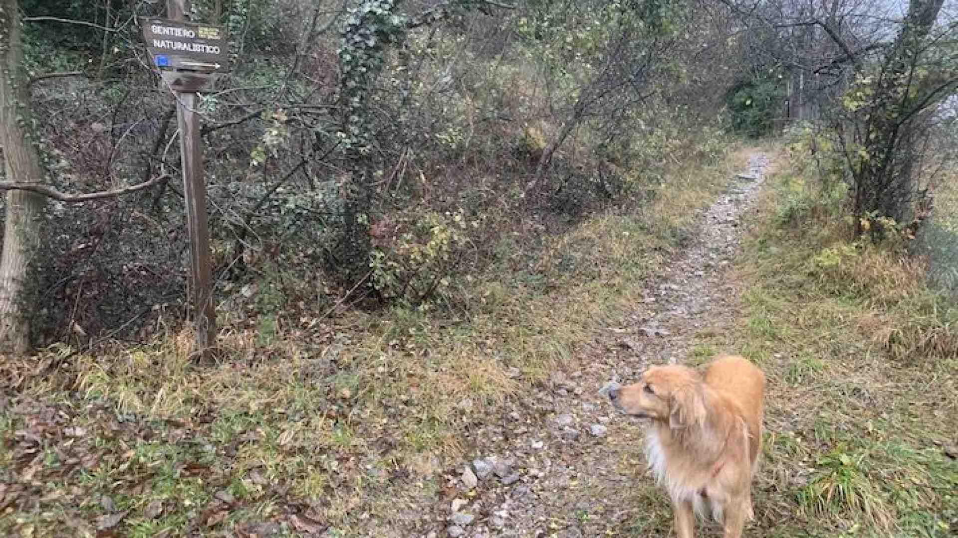 Valdadige, a Canale si respira la storia