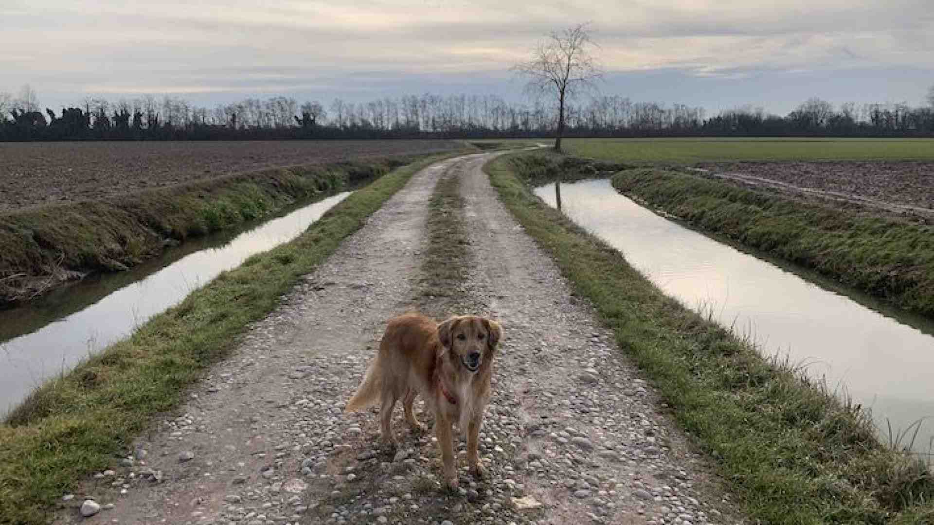 A Casaleone sfiorando paludi, mulini e camminando lungo l’ex ferrovia