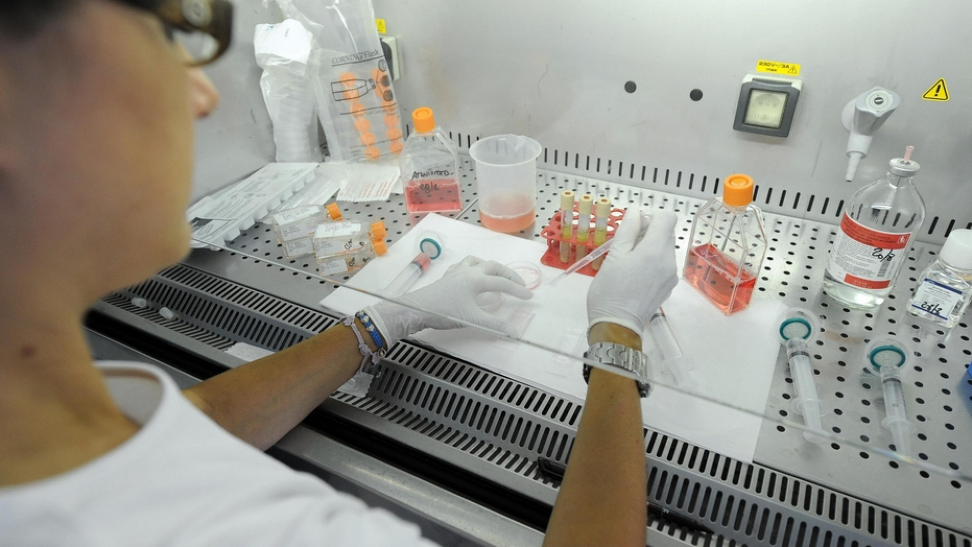 Nel 2045 la fine della fertilità umana? Un allarme trascurato