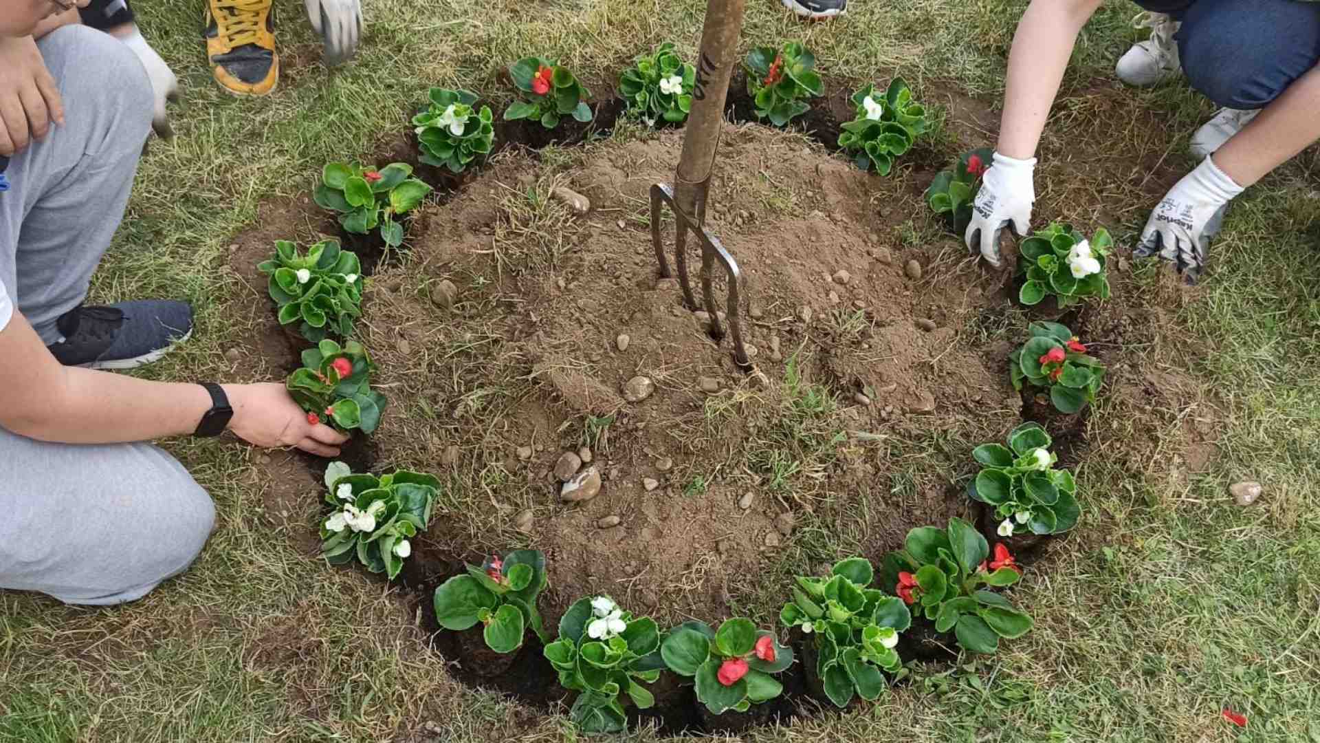 Borgo Nuovo, il giardinaggio è momento di socialità