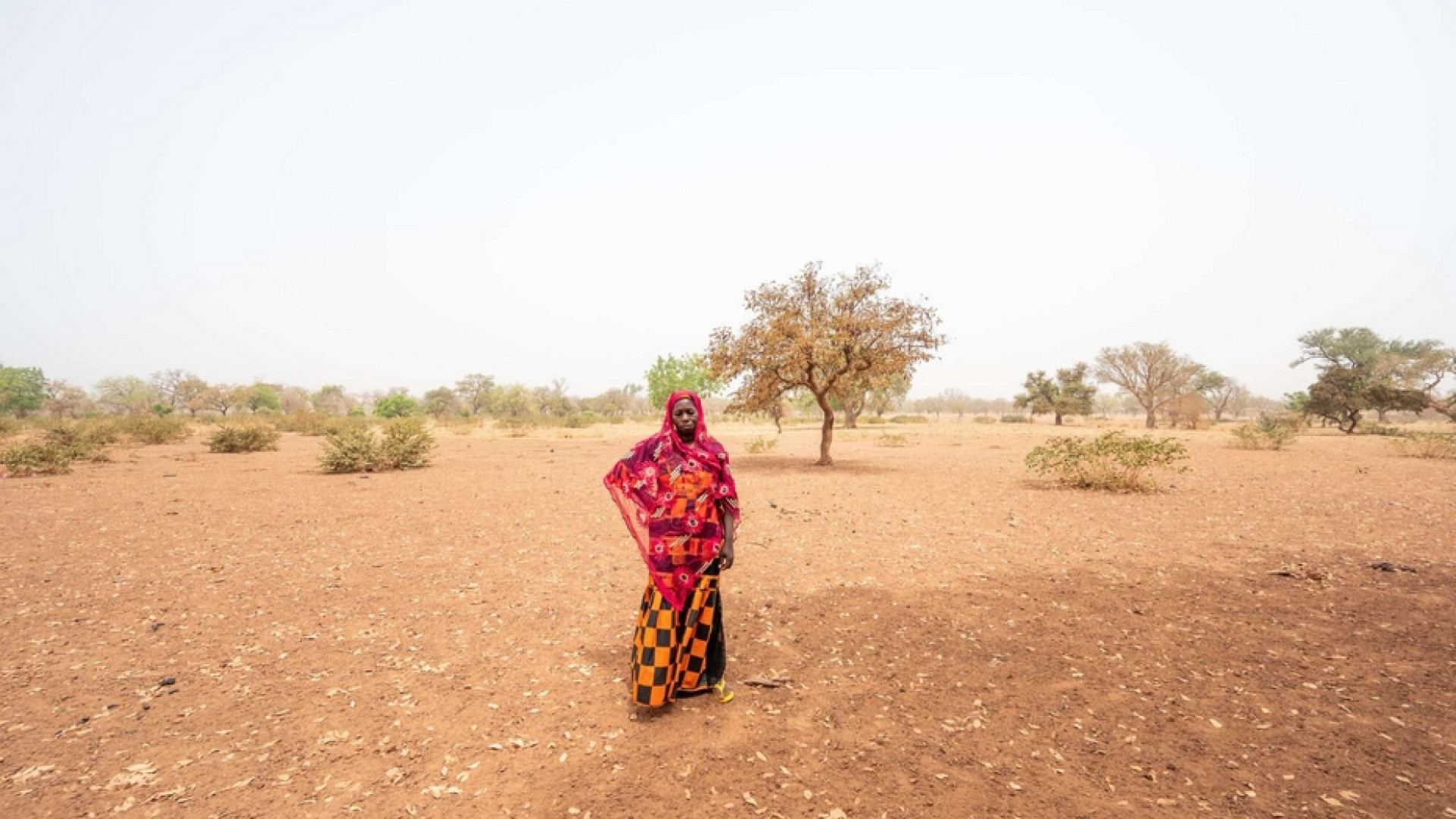 Disastro clima, tra Paesi ricchi avari e gli effetti della guerra in Ucraina