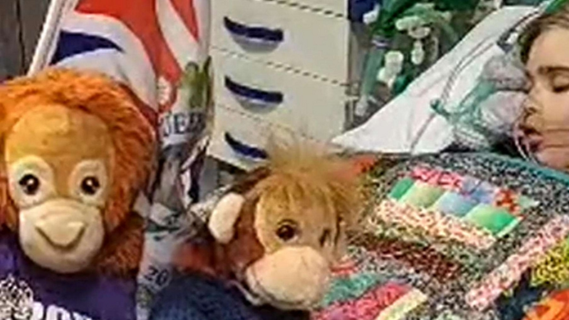 Archie e le nostre domande tra bioetica, coscienza e realtà