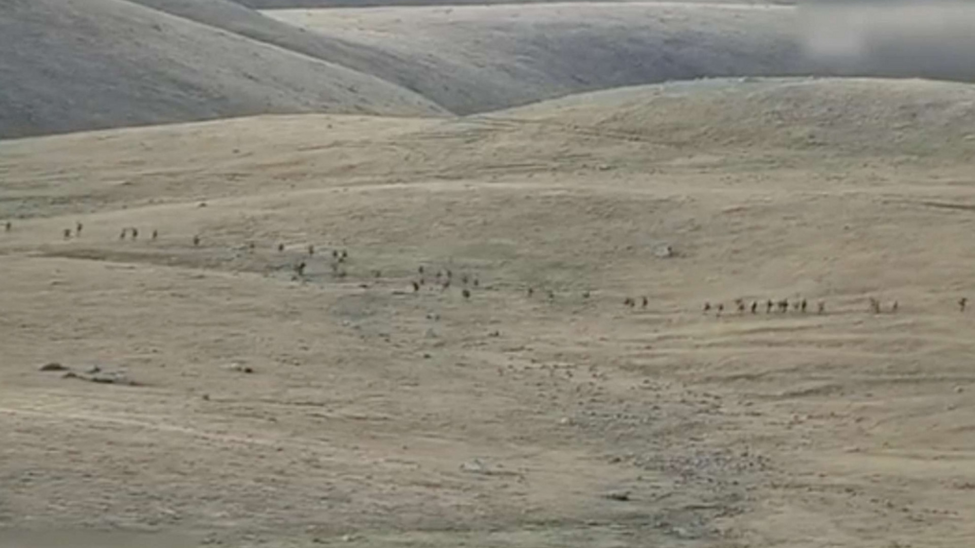 Scontri tra Armenia e Azerbaigian, cento morti. L'escalation e gli interessi