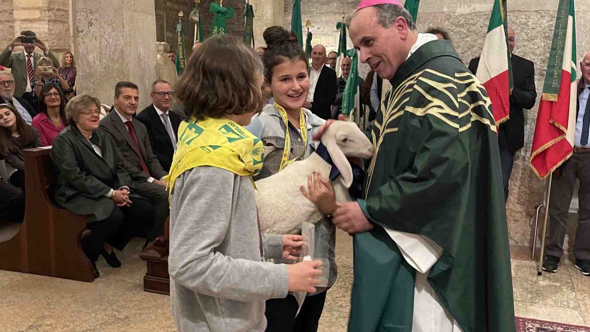 San Martino, il Vescovo benedice gli agricoltori: «La terra va rispettata e salvaguardata, non depredata»