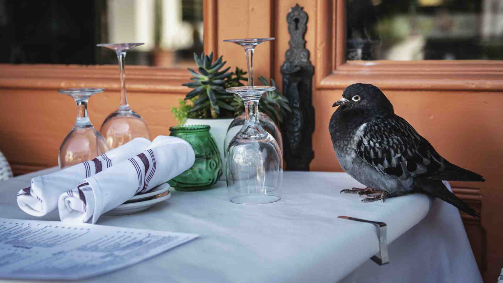 Quanto mi prostra la ristorazione italiana, nemica dei territori e della lingua