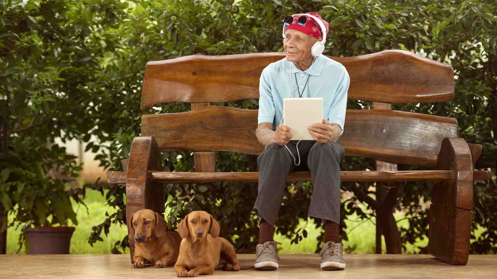 Il processo evolutivo fra longevità, socialità e trasmissione culturale