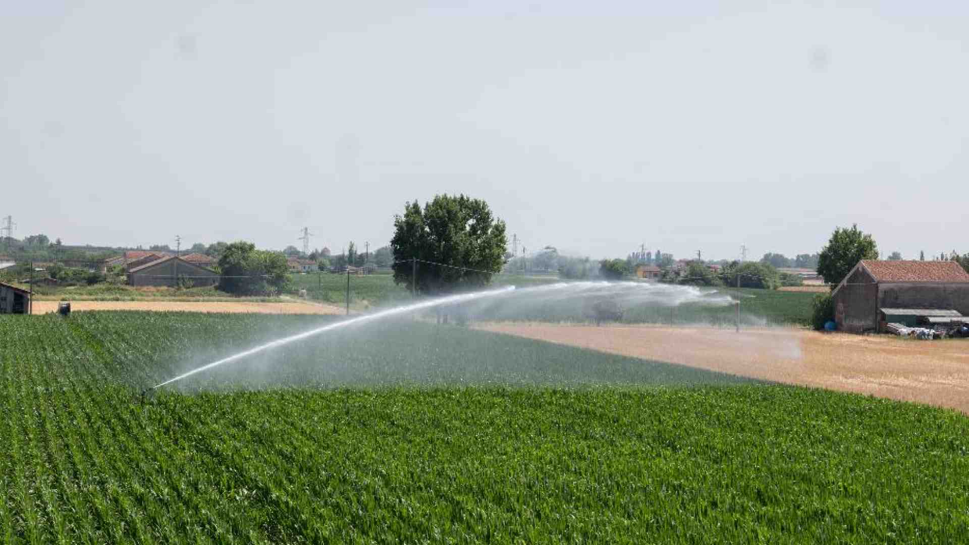Acqua in gocce, sensori e satelliti: così la siccità cambia l'agricoltura