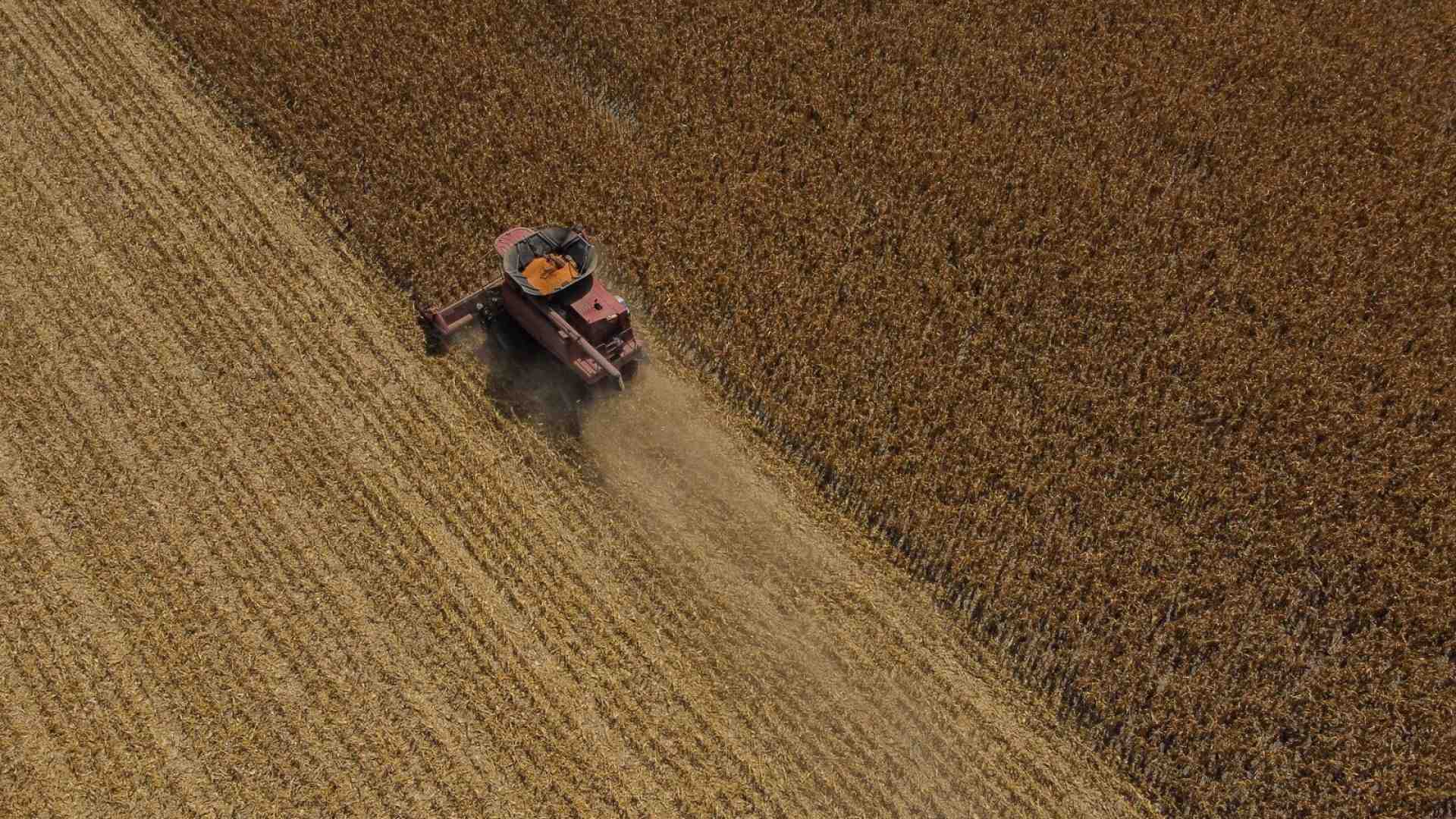 Viva la carne sintetica. Senza ricerca l'agricoltura non va avanti