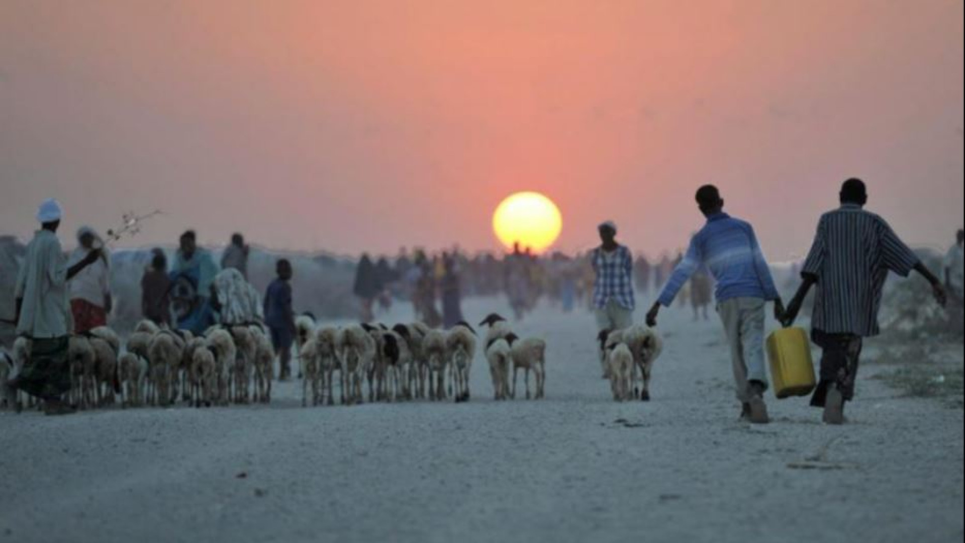 Profughi, l'Onu: «Il clima malato è ormai un'emergenza umanitaria»