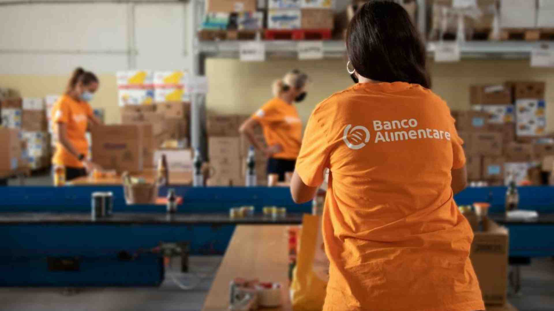 Meno cibo raccolto, meno poveri aiutati: la guerra sfida il Banco Alimentare