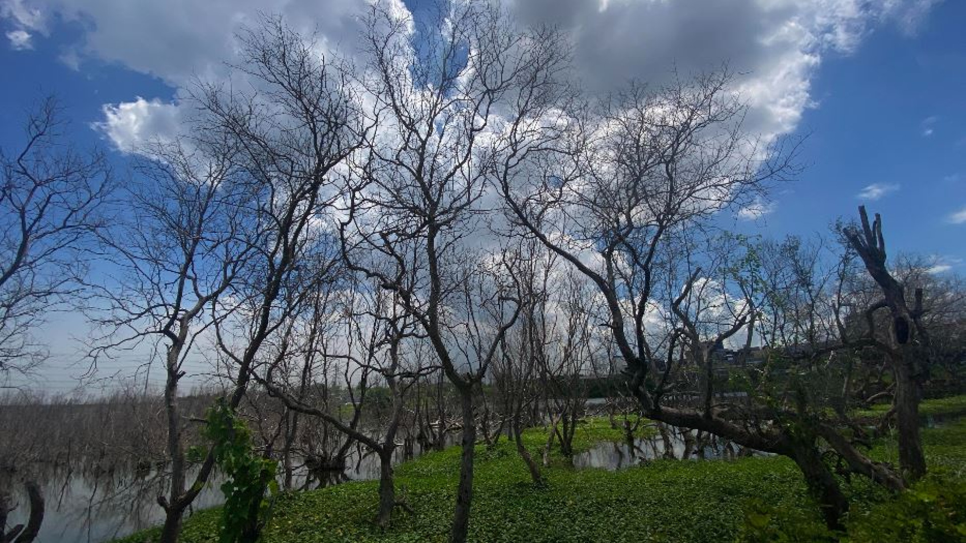 L'Onu: registrati i 3 giorni consecutivi più caldi di sempre