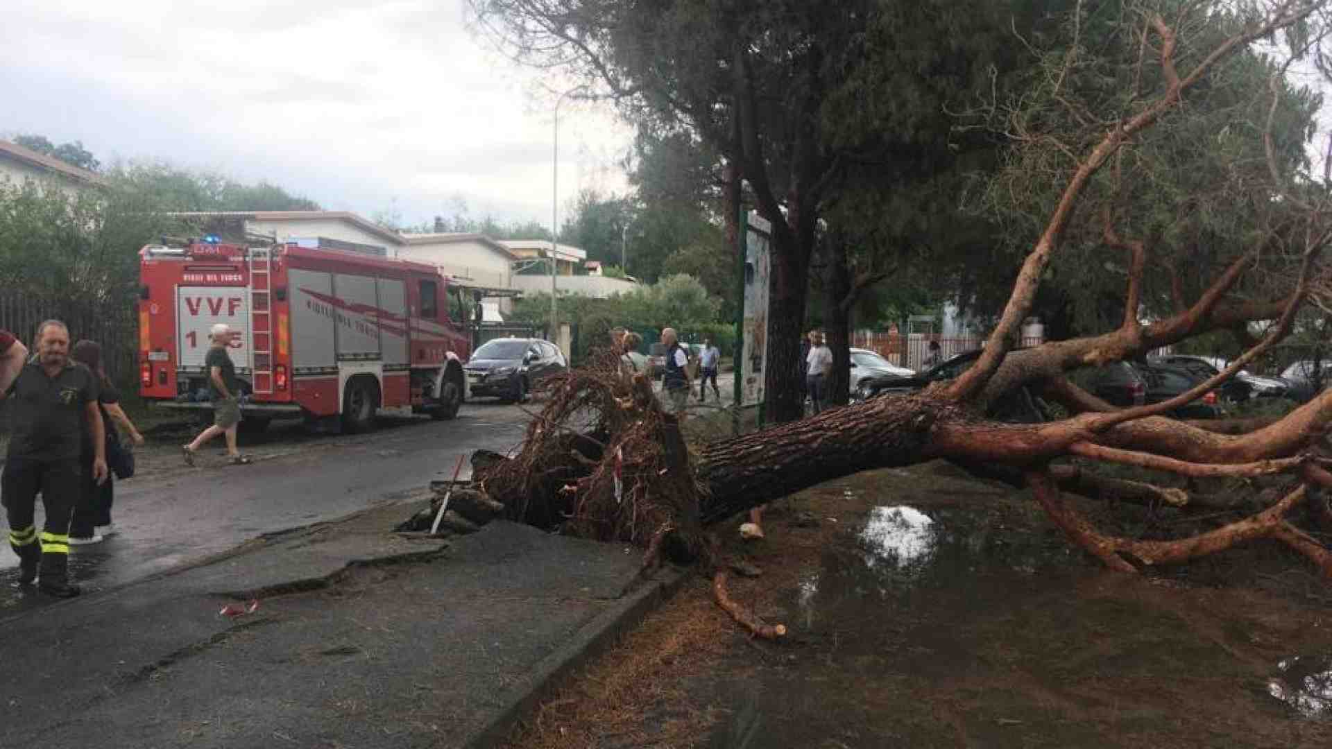 Maltempo, morta una donna travolta da un albero