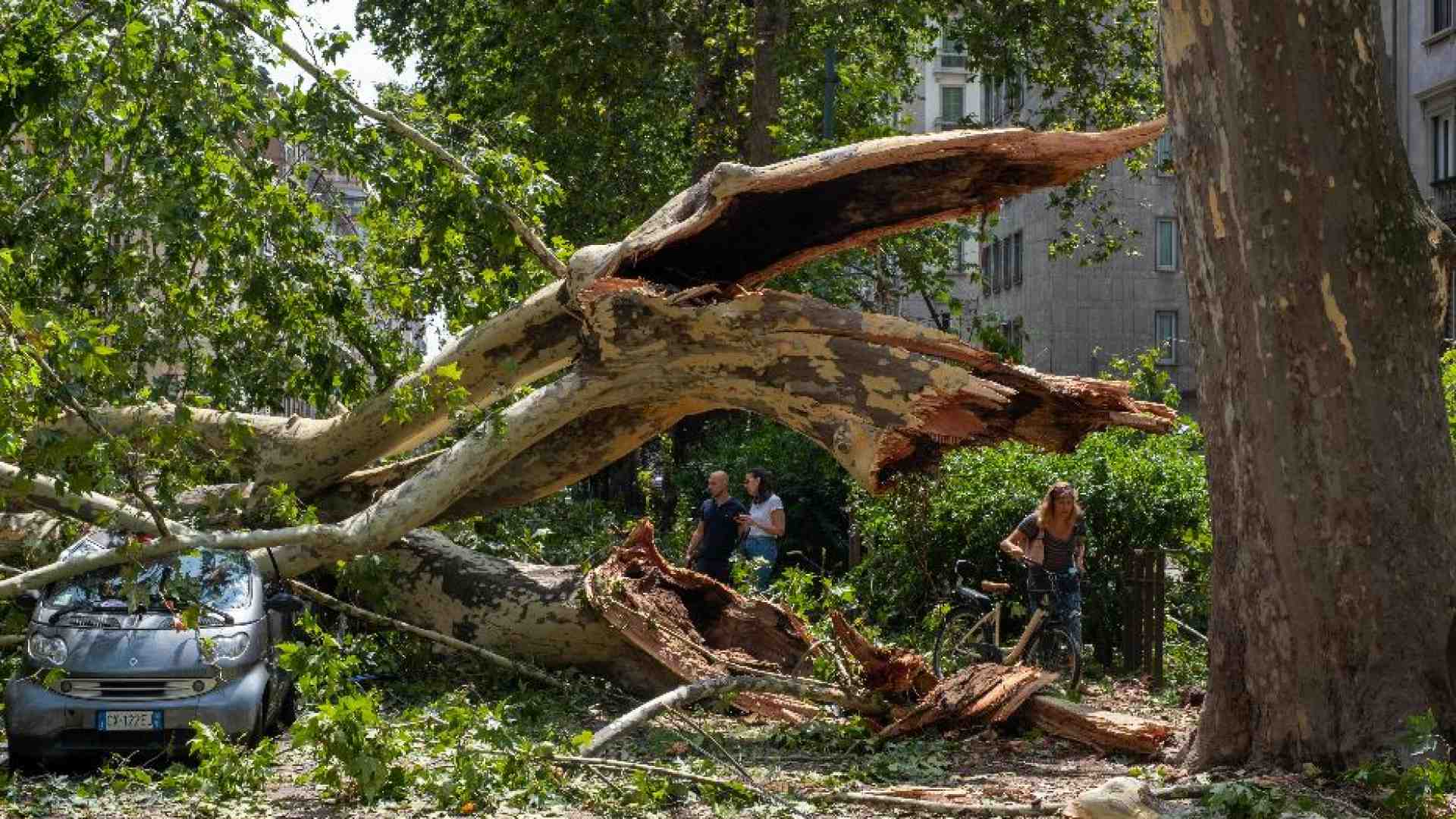 Tempesta su Milano. Alberi sradicati, auto distrutte, traffico in tilt