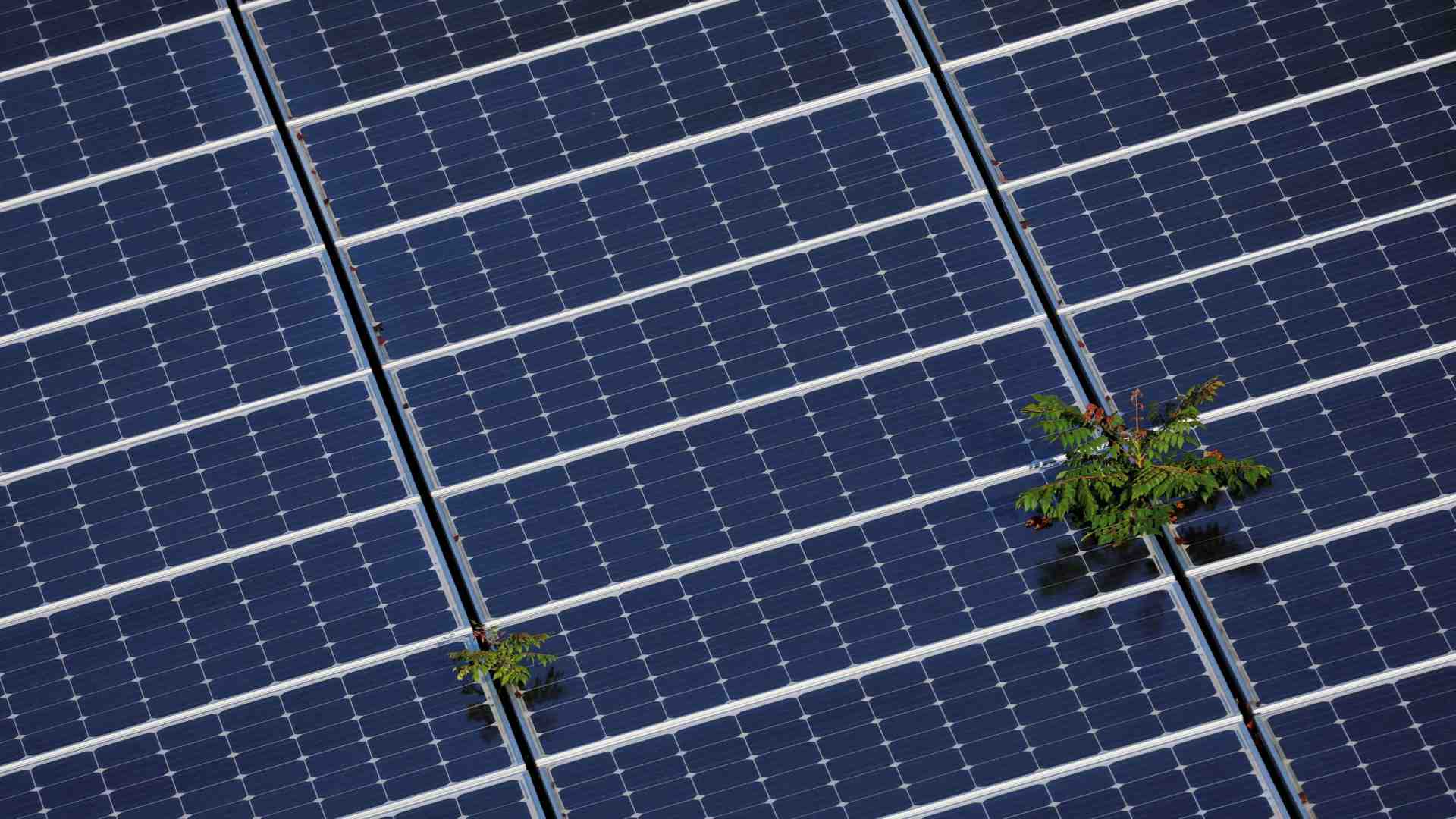 Il boom dei Ppa, così le imprese congelano le bollette