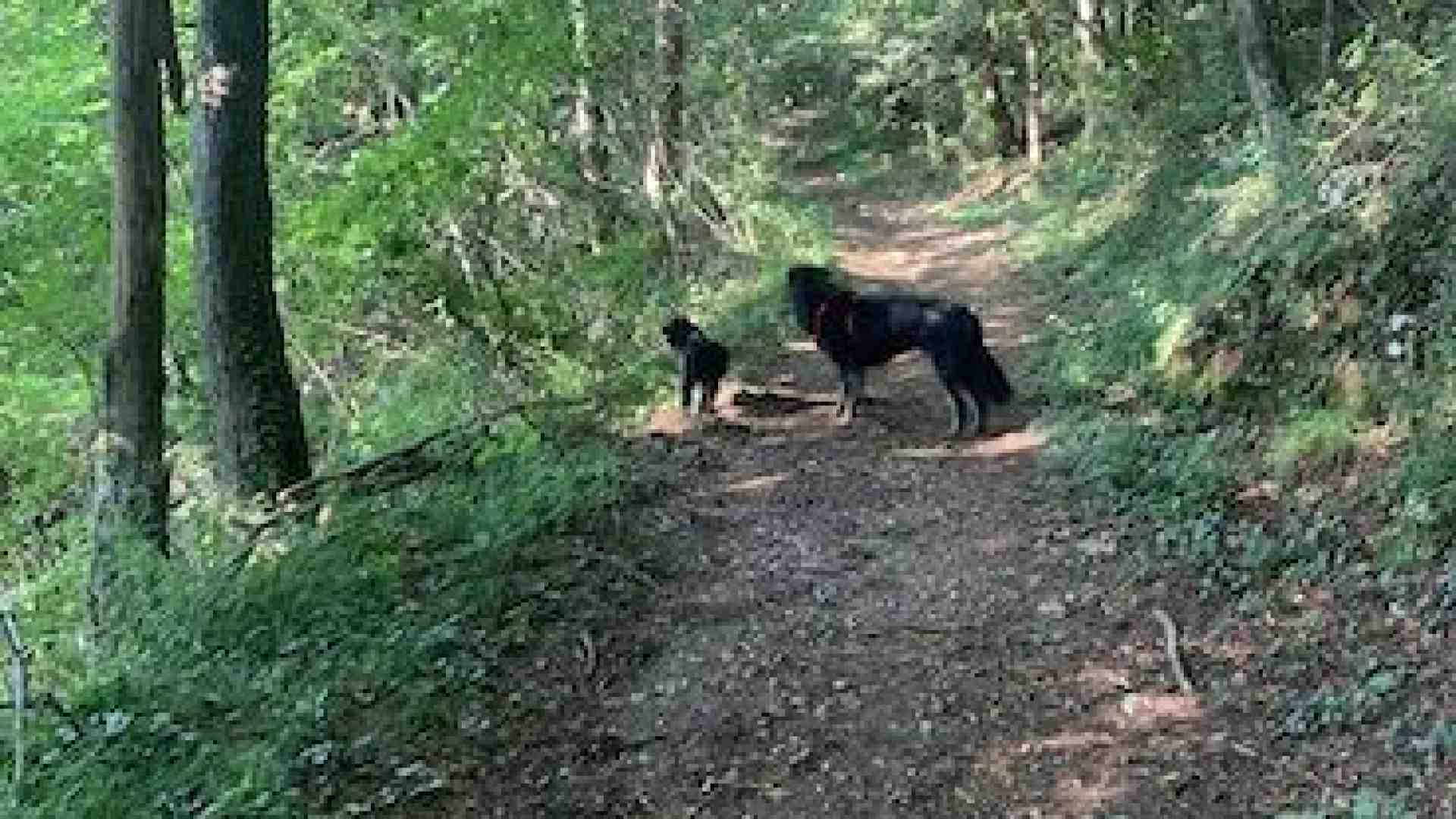 Attorno a Cerro grotte e sorgenti nel fresco dei boschi