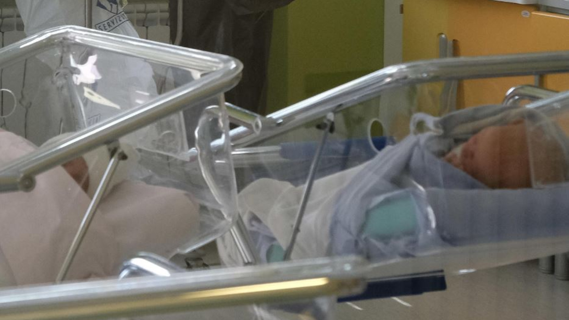 I nati dalla fecondazione assistita conosceranno i genitori biologici