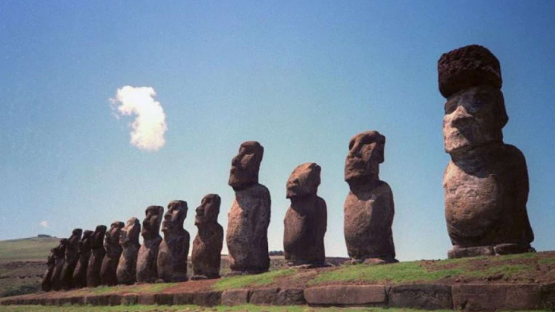 Gli alberi e il declino di Rapa Nui: beni comuni che si devono salvare