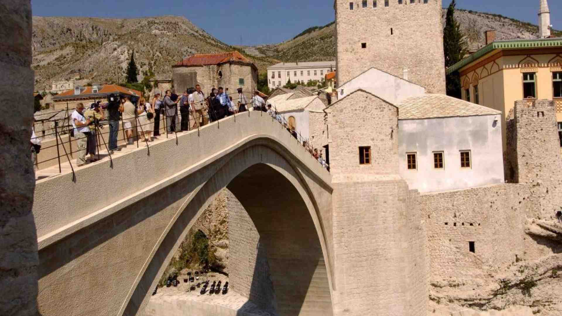 L'essenza della scuola? Un ciliegio in fiore che ci attende
