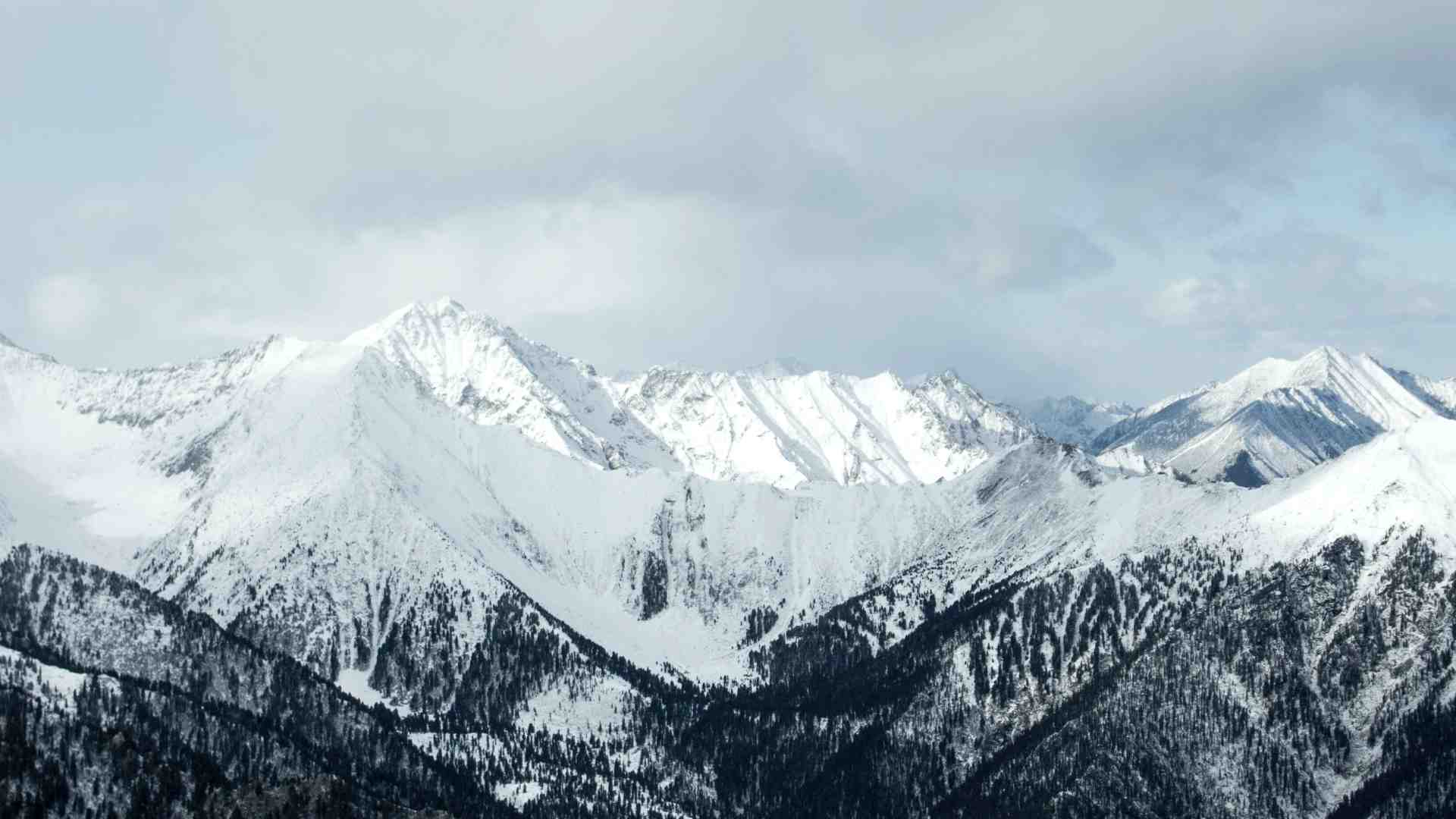 Ignorare da quali ricche montagne innevate arrivino le solite gelide analisi