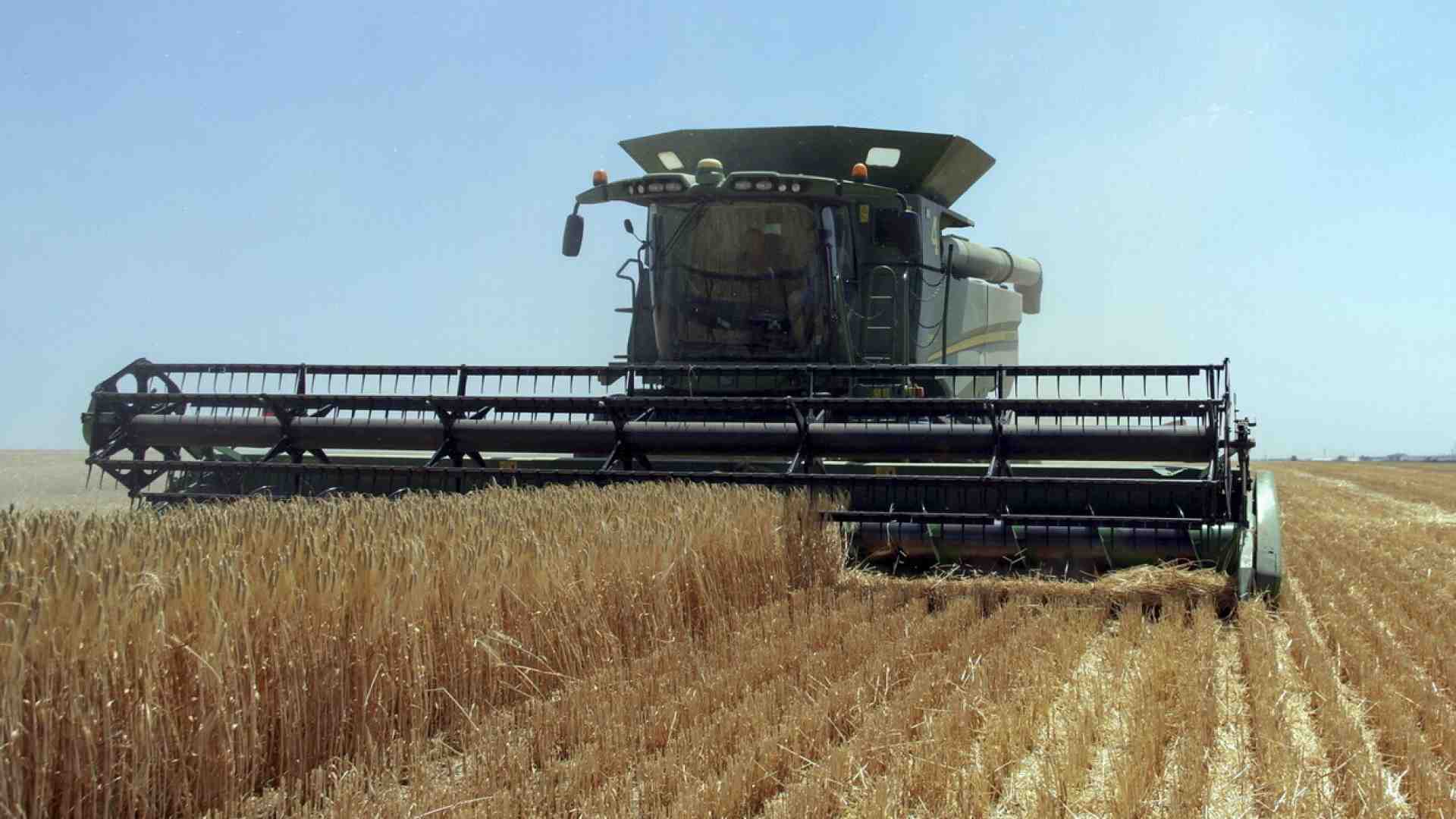In cinque mesi Kyiv ha ripristinato le rotte del grano senza Mosca