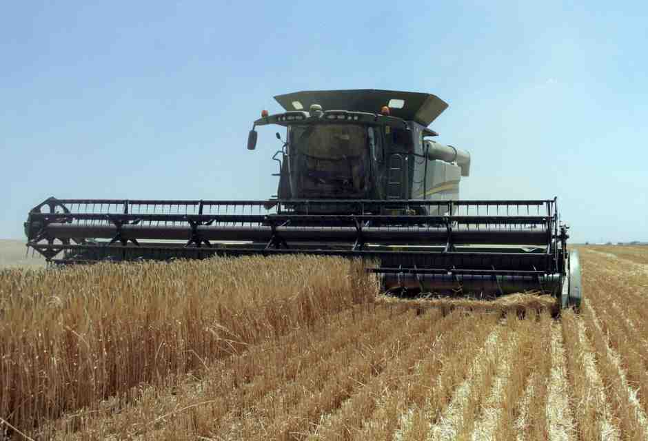 In cinque mesi Kyiv ha ripristinato le rotte del grano senza Mosca