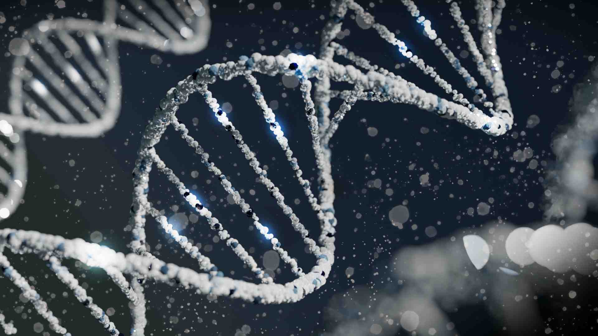 Come gli antichi Dna influenzano quello che siamo