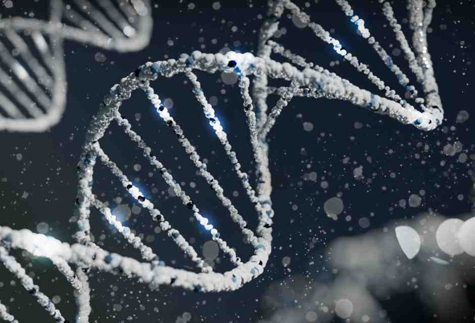 Come gli antichi Dna influenzano quello che siamo