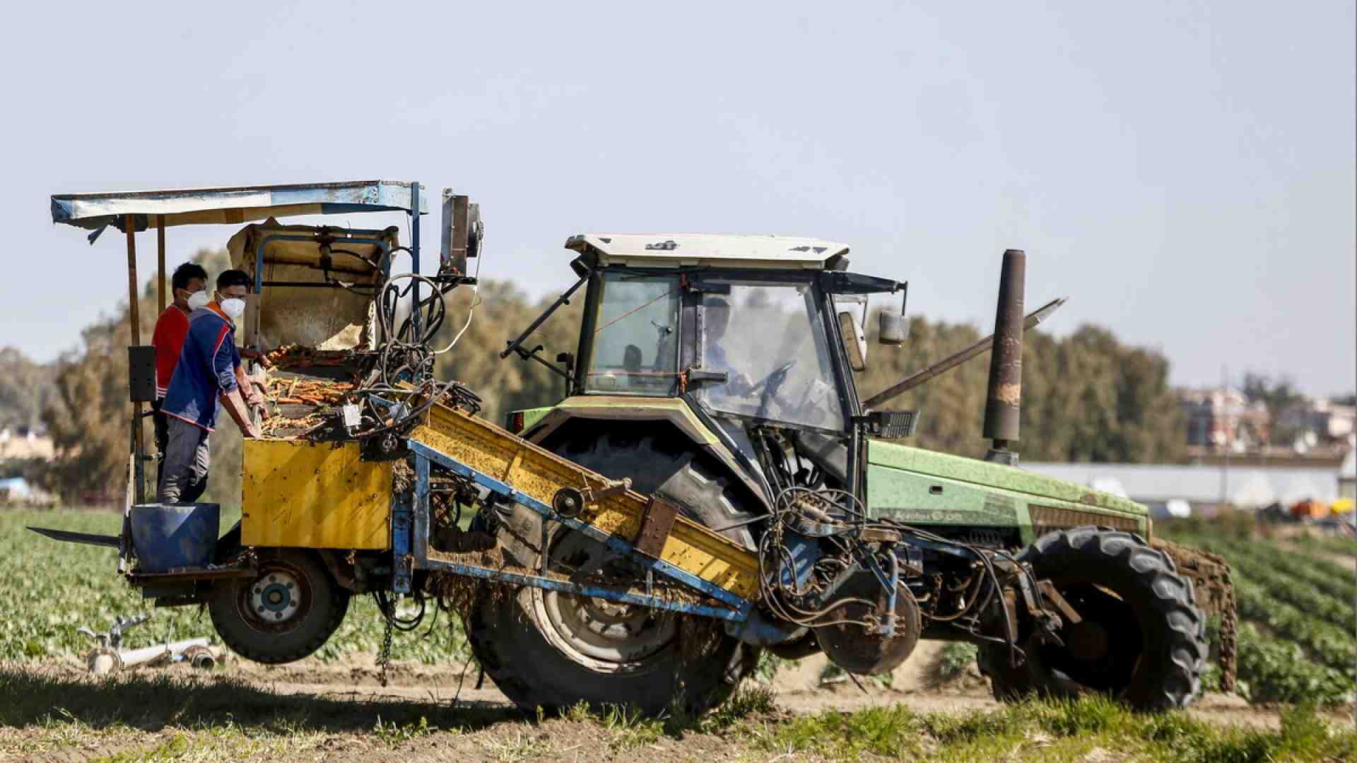 Ecco cosa c’entrano i trattori con l’alfabetizzazione. Spunti per il futuro