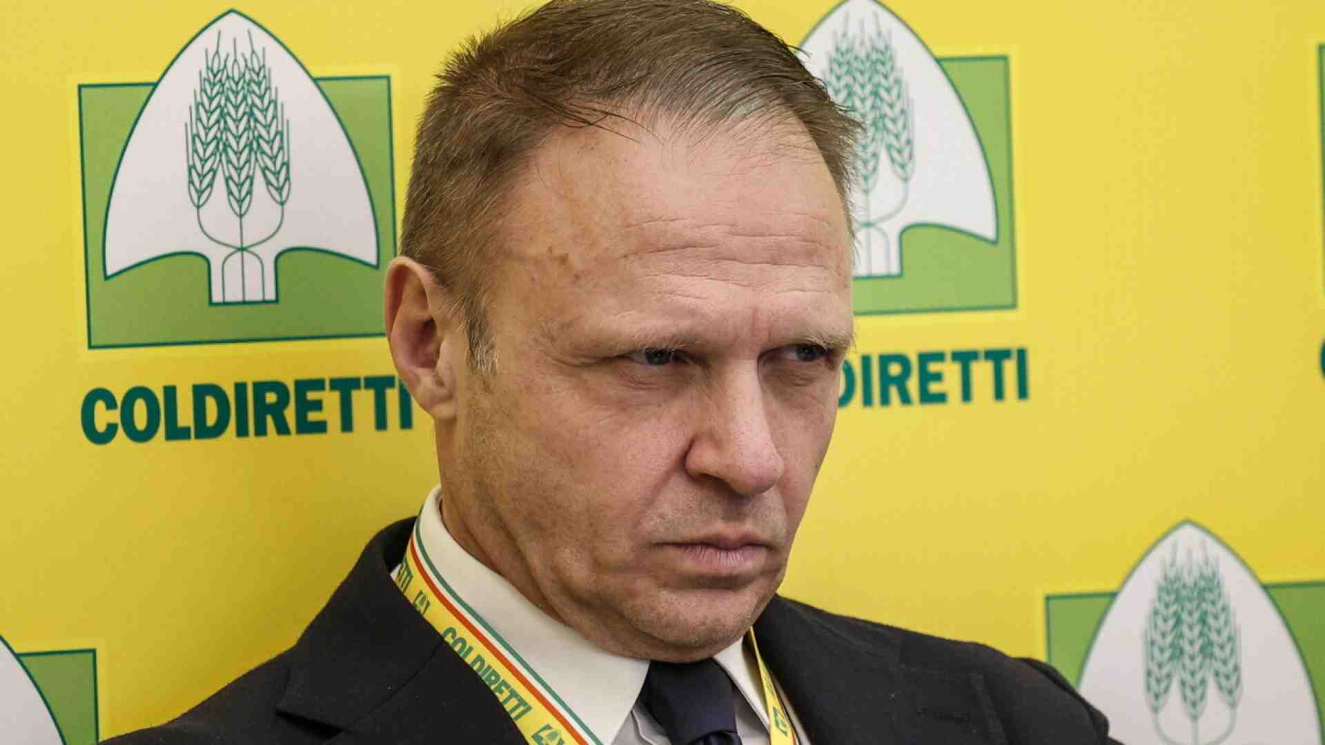 L’industria agroalimentare contro la legge Lollobrigida sulla “carne sintetica”