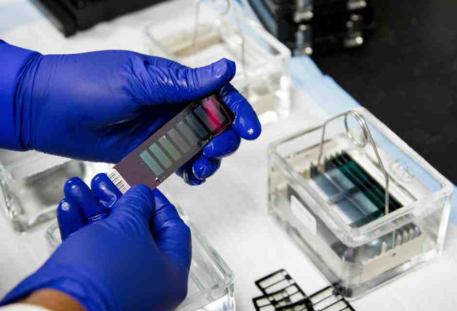 Dopo la carne coltivata, l'Europa apre alle tecniche genomiche per la modifica del Dna delle piante