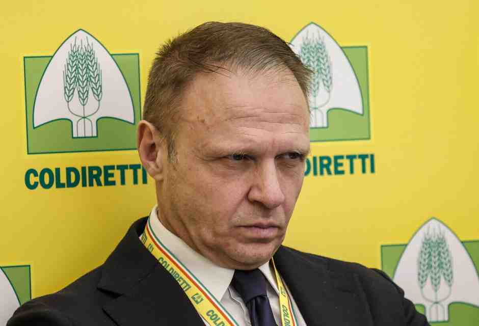 L’industria agroalimentare contro la legge Lollobrigida sulla “carne sintetica”