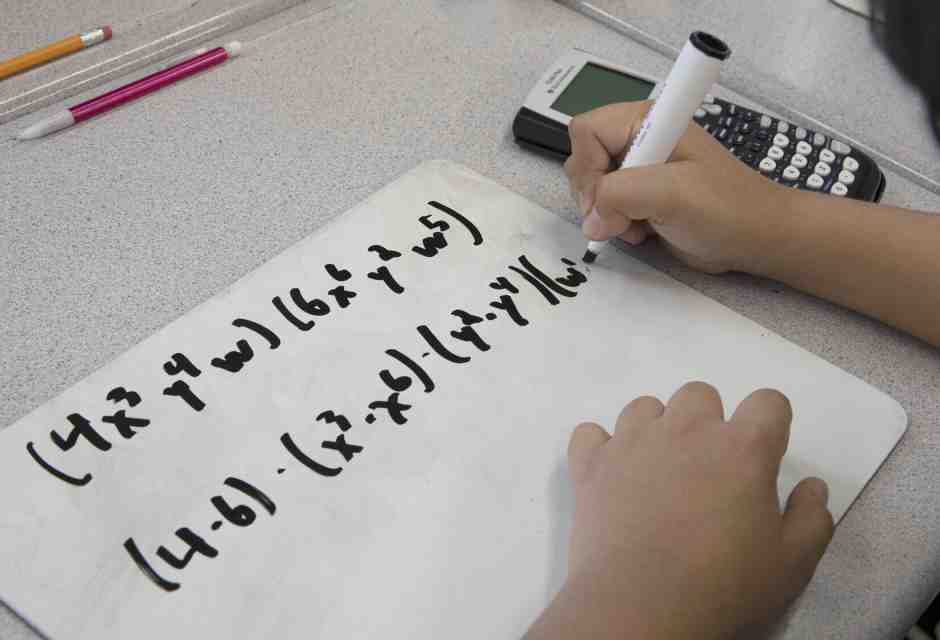 Elogio della matematica. Buone ragioni per studiarla, e non solo perché è utile