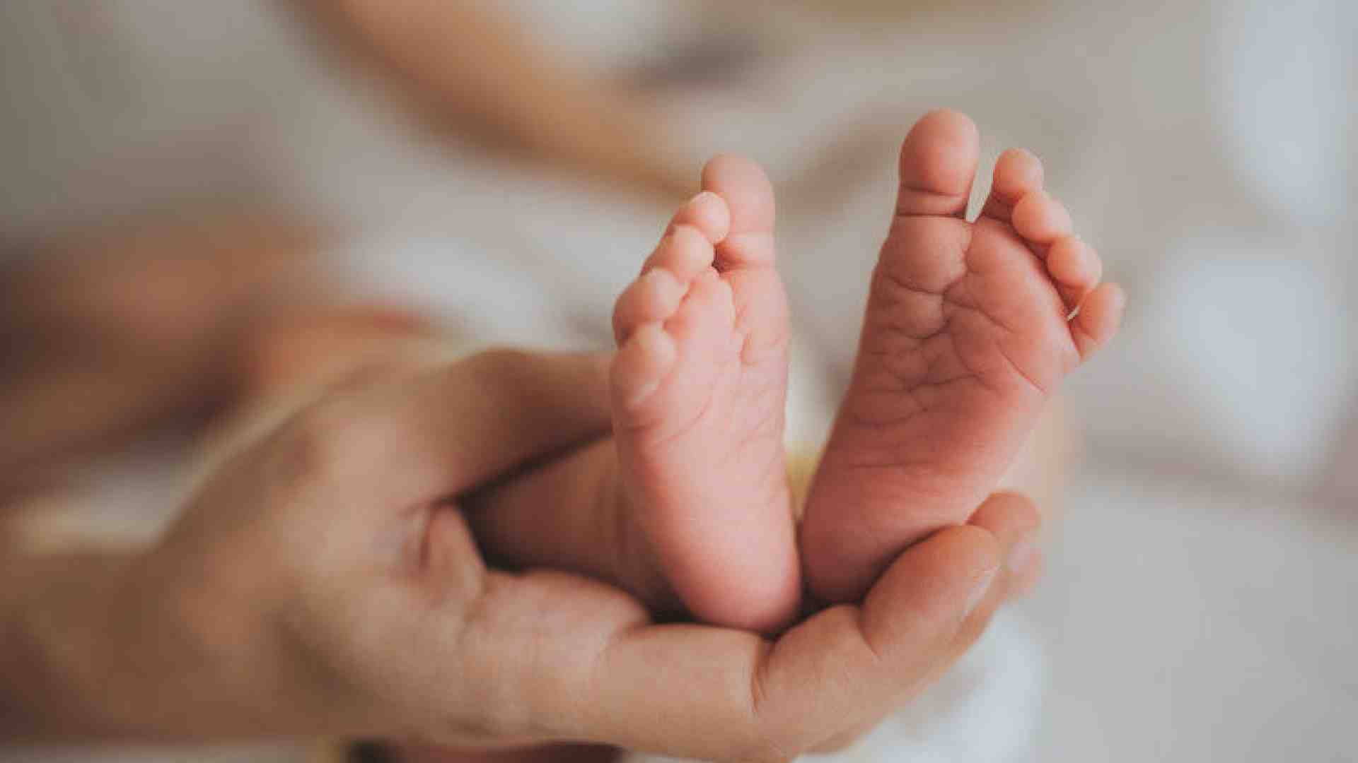 Qui si protegge la nuova vita