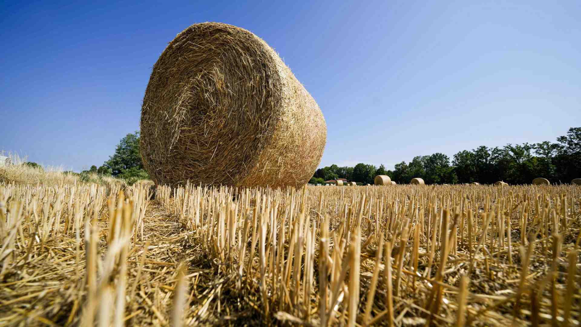 Sorpresa: l’aria padana non è mai stata così respirabile