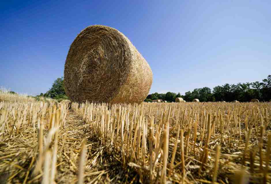 Sorpresa: l’aria padana non è mai stata così respirabile